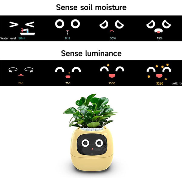 Plant Assistant Fun Interactive Pot
