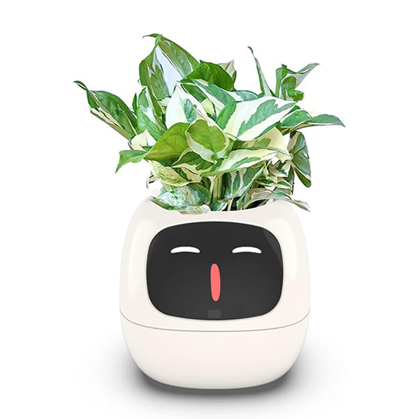 Plant Assistant Fun Interactive Pot