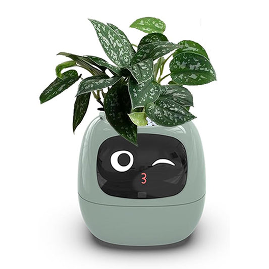 Plant Assistant Fun Interactive Pot