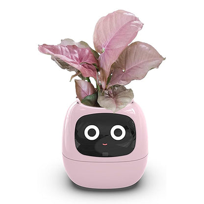 Plant Assistant Fun Interactive Pot