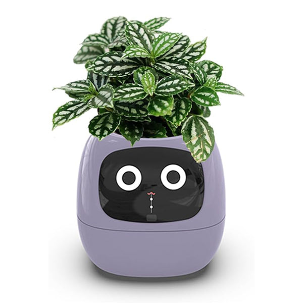 Plant Assistant Fun Interactive Pot