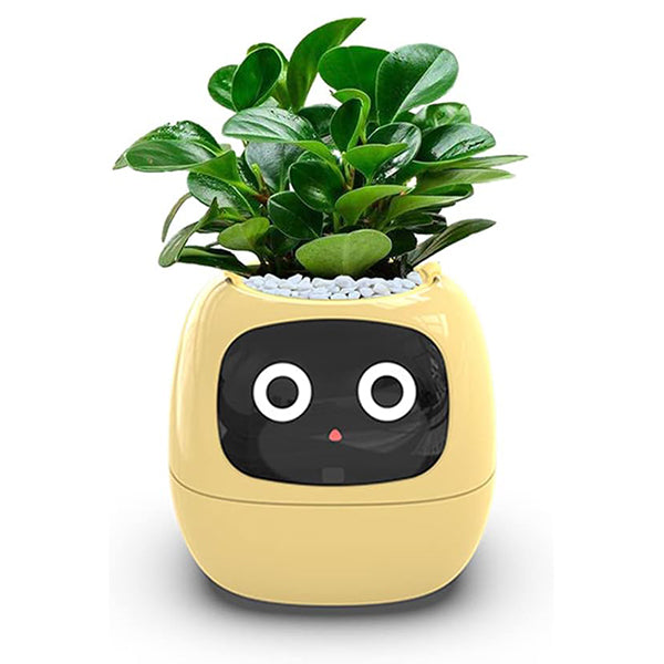 Plant Assistant Fun Interactive Pot