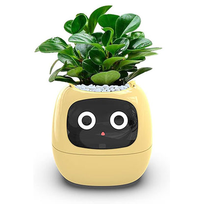 Plant Assistant Fun Interactive Pot